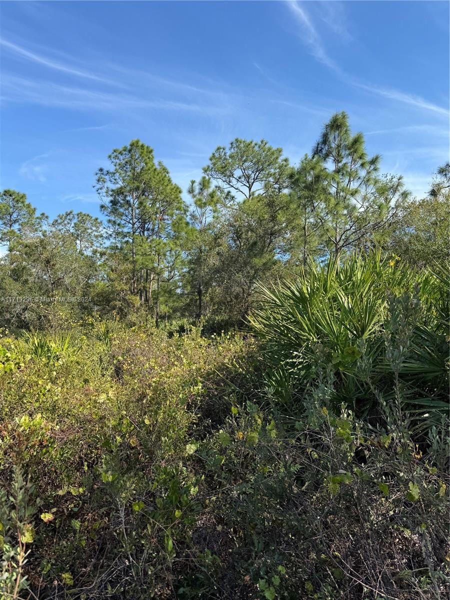 Real estate property located at 839 APPALOOSA AVE, Hendry, Montura Ranch Estates, Clewiston, FL