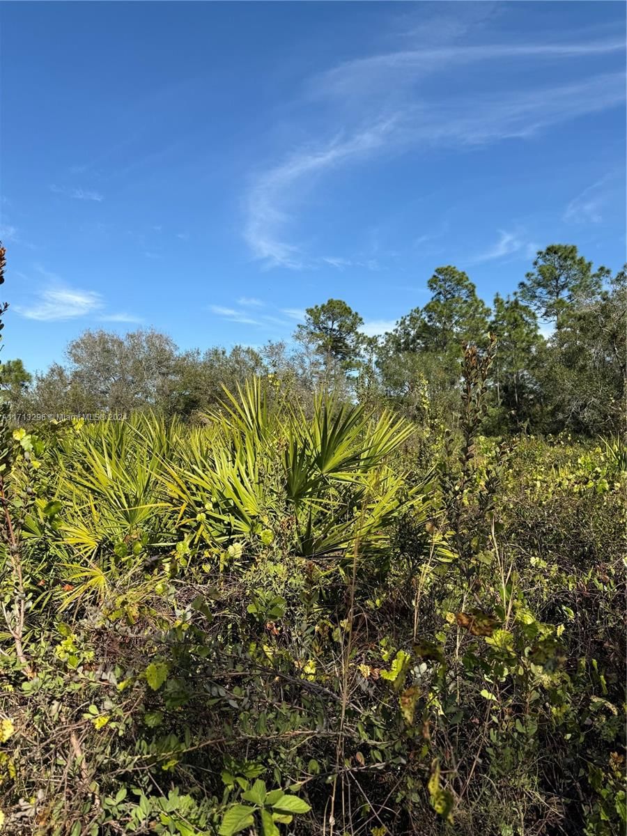Real estate property located at 839 APPALOOSA AVE, Hendry, Montura Ranch Estates, Clewiston, FL