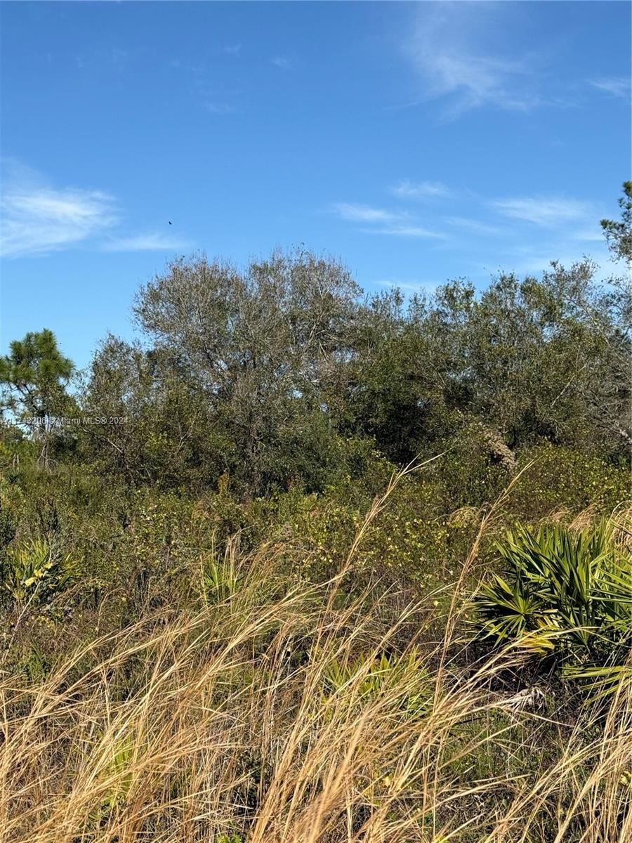 Real estate property located at 839 APPALOOSA AVE, Hendry, Montura Ranch Estates, Clewiston, FL