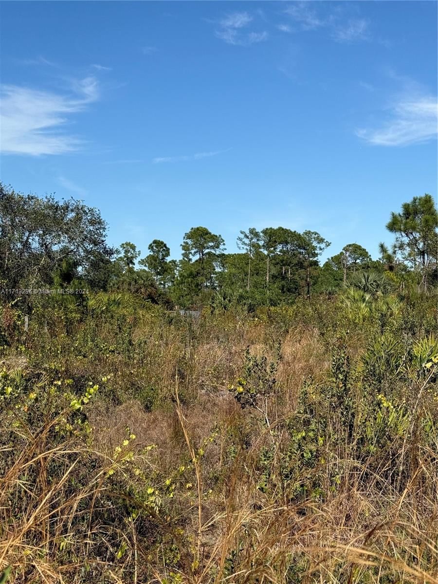 Real estate property located at 839 APPALOOSA AVE, Hendry, Montura Ranch Estates, Clewiston, FL