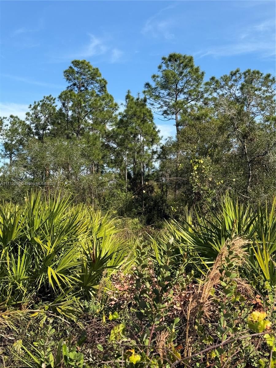 Real estate property located at 839 APPALOOSA AVE, Hendry, Montura Ranch Estates, Clewiston, FL