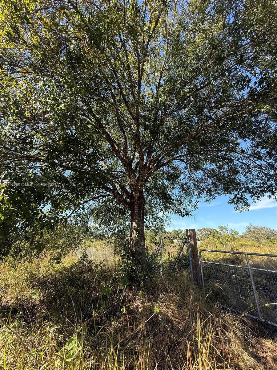 Real estate property located at 839 APPALOOSA AVE, Hendry, Montura Ranch Estates, Clewiston, FL