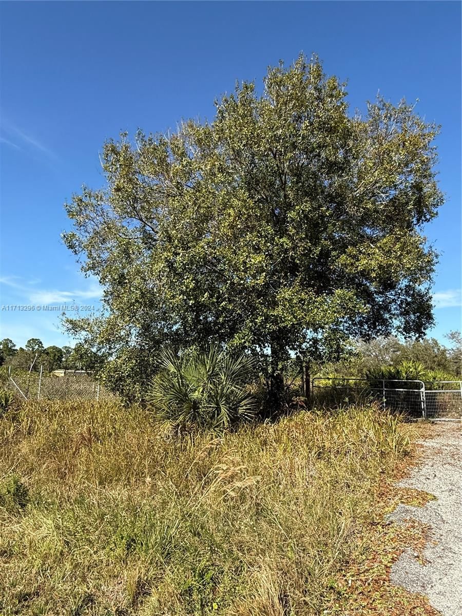 Real estate property located at 839 APPALOOSA AVE, Hendry, Montura Ranch Estates, Clewiston, FL