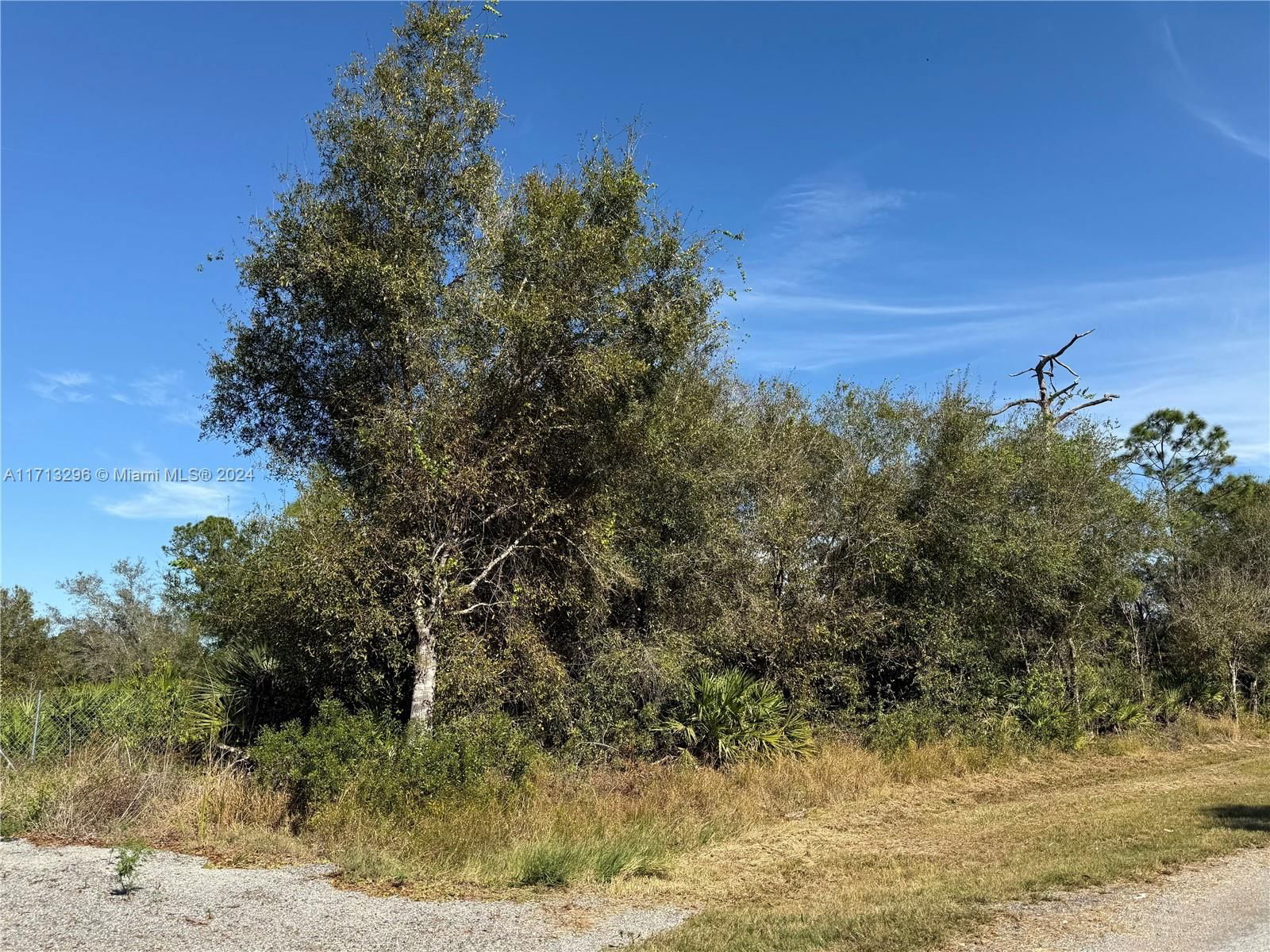 Real estate property located at 839 APPALOOSA AVE, Hendry, Montura Ranch Estates, Clewiston, FL