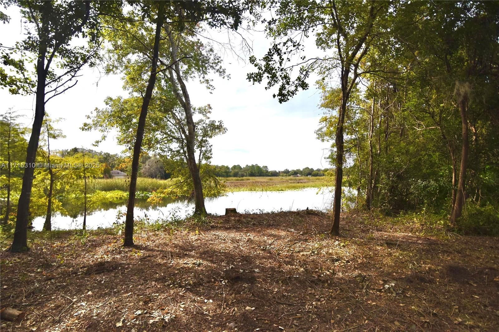 Real estate property located at 6435 SHOREWOOD DR., Citrus, River Lakes Manor Unit 3, Other City - In The State Of Florida, FL