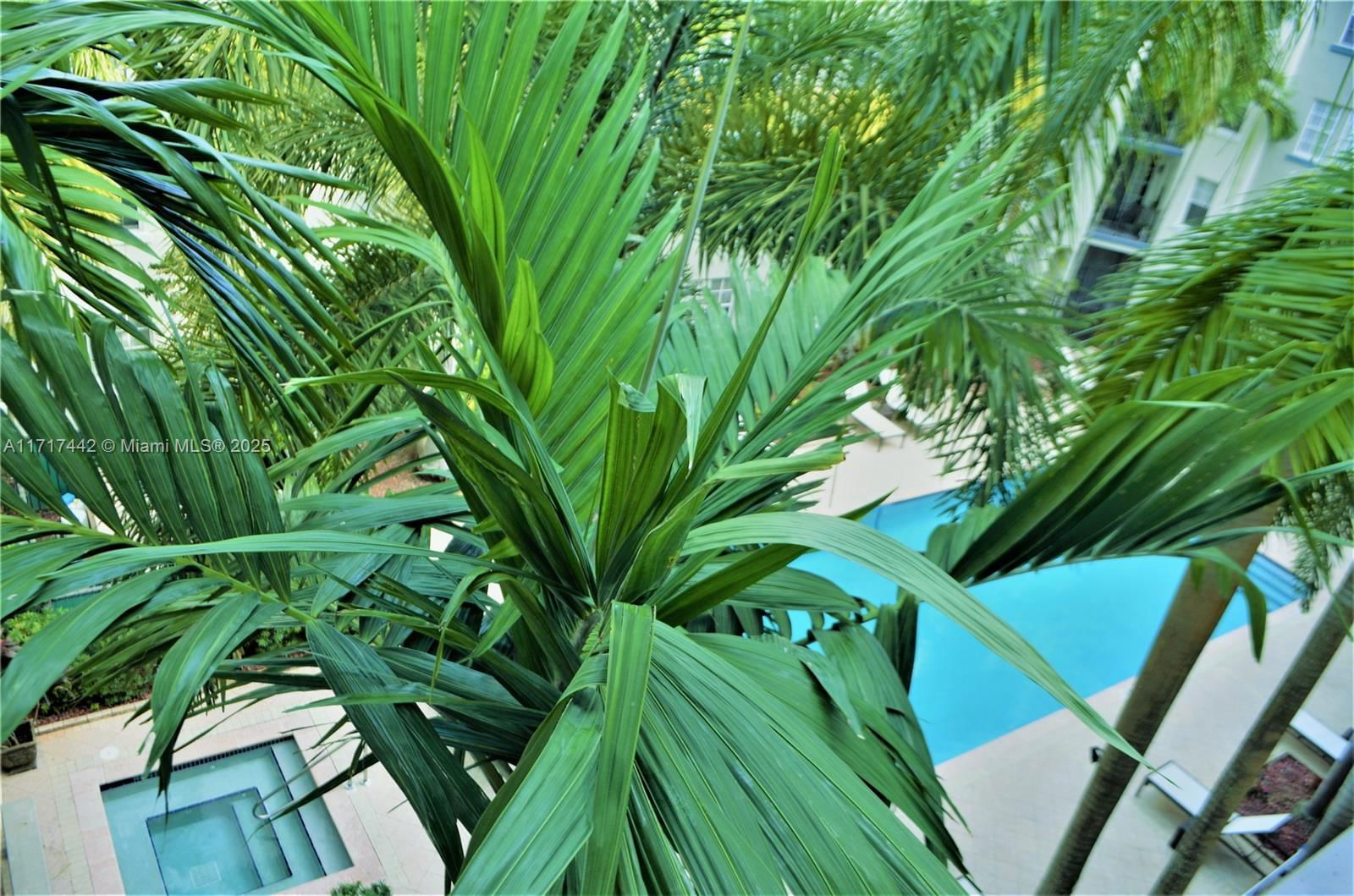Real estate property located at 533 3rd Ave #446, Broward, Sole At Fort Lauderdale C, Fort Lauderdale, FL