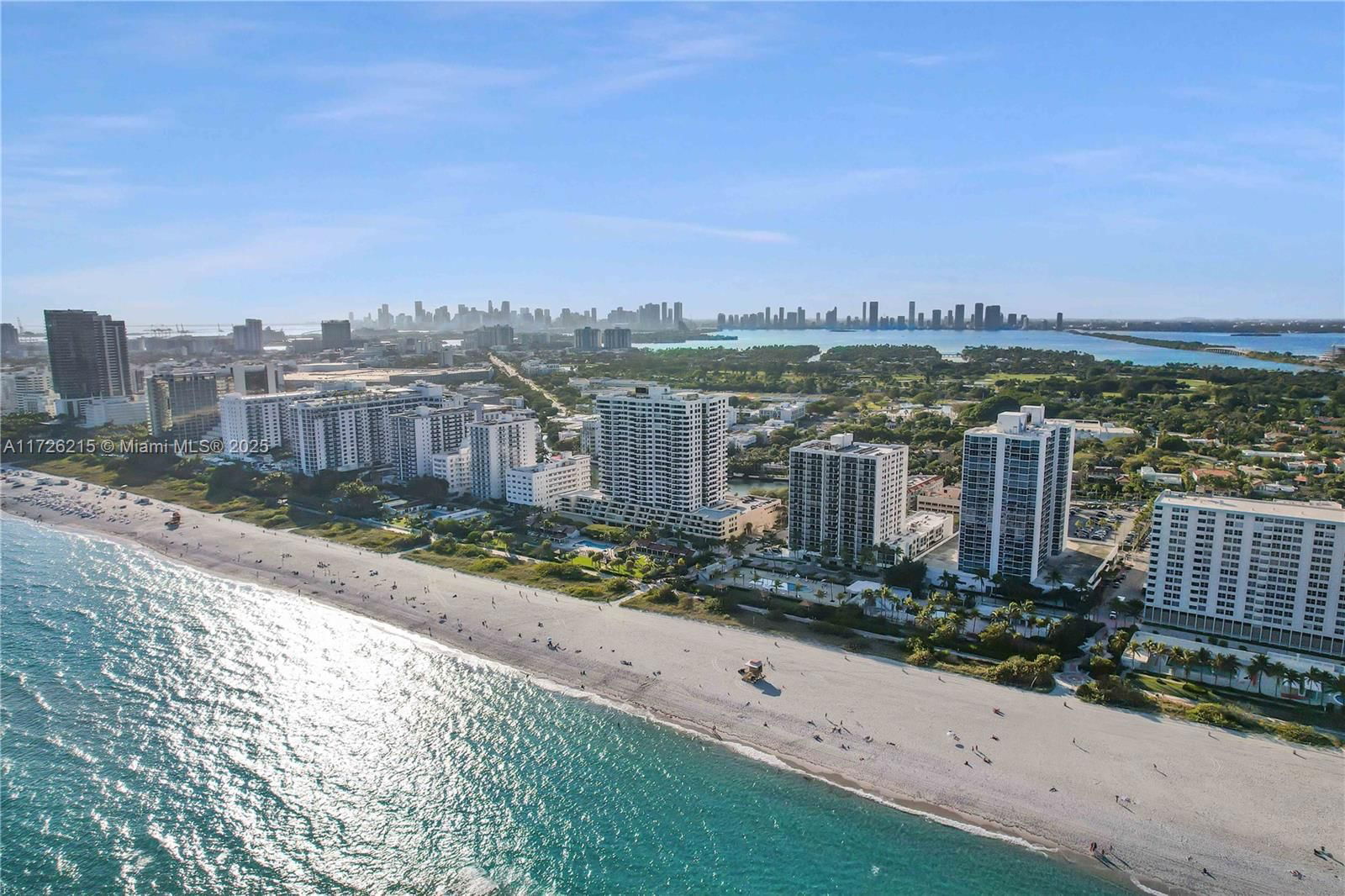 Real estate property located at 2555 Collins Ave #1411, Miami-dade, Club Atlantis Condo, Miami Beach, FL
