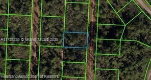 Real estate property located at 718 Neale Street, Highlands, Leisure Lakes So. Of Mille, Other City - In The State Of Florida, FL