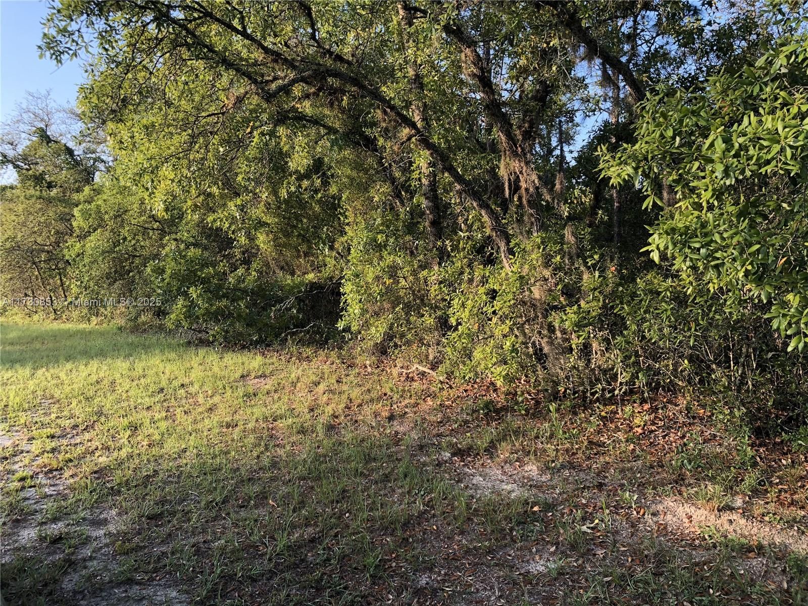 Real estate property located at 0000 Ocala, Marion, Marion Oaks, Ocala, FL