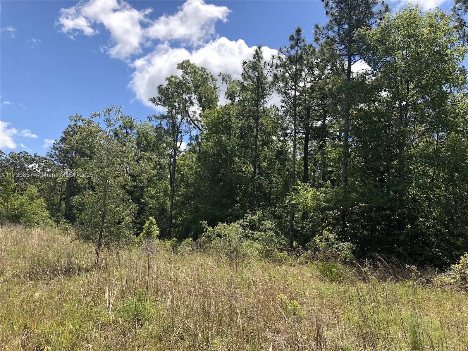 Real estate property located at 15107 Canvasback Rd, Hernando, Royal Highlands, Other City - In The State Of Florida, FL