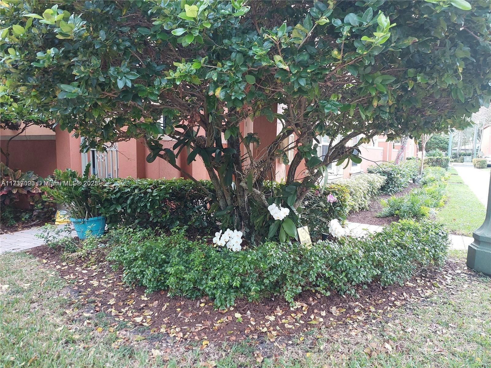 Real estate property located at 2316 Anchor Ct #2705, Broward, Villas At Harbor Isles Co, Dania Beach, FL