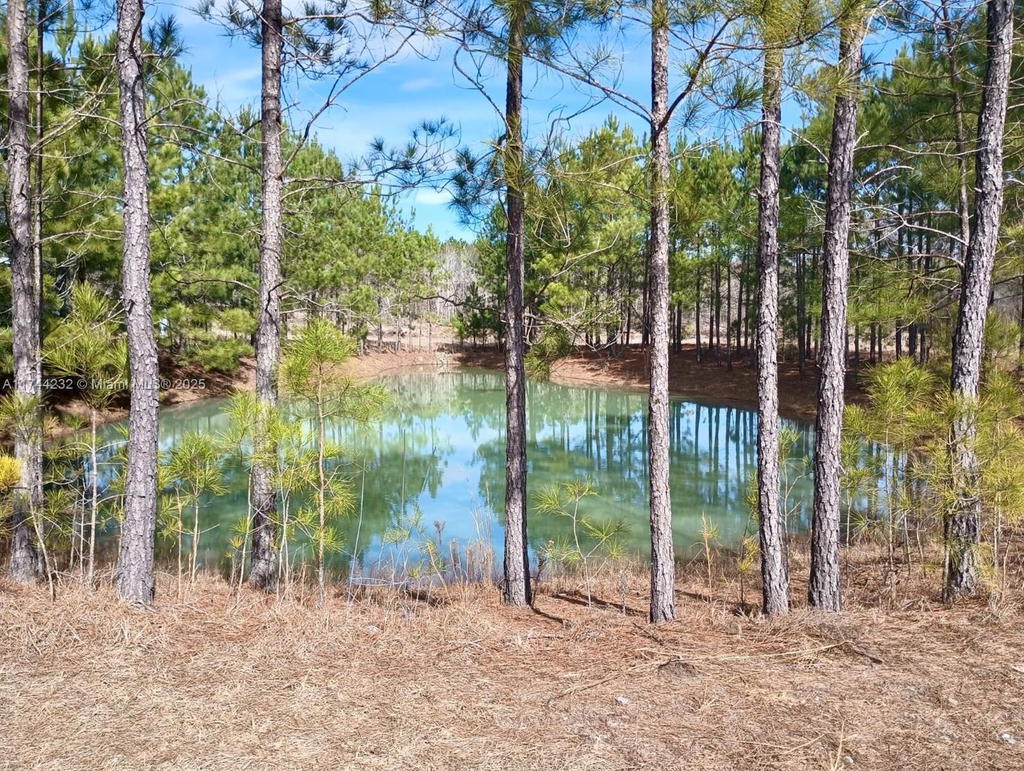 Real estate property located at 00 Log Cabin RD, Other, Undeveloped, GA