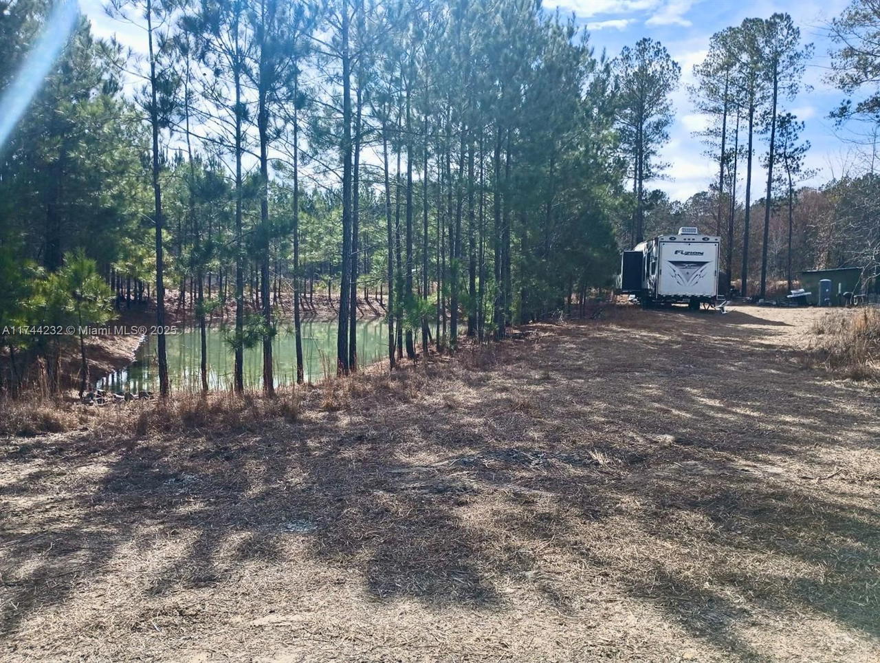 Real estate property located at 00 Log Cabin RD, Other, Undeveloped, GA