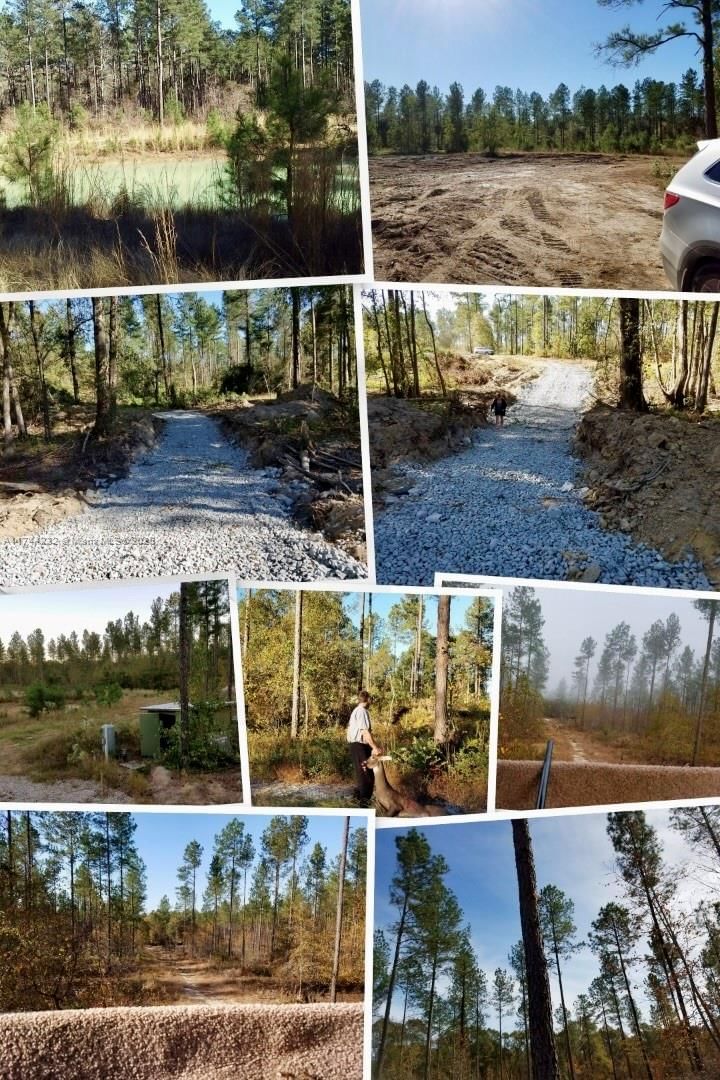 Real estate property located at 00 Log Cabin RD, Other, Undeveloped, GA