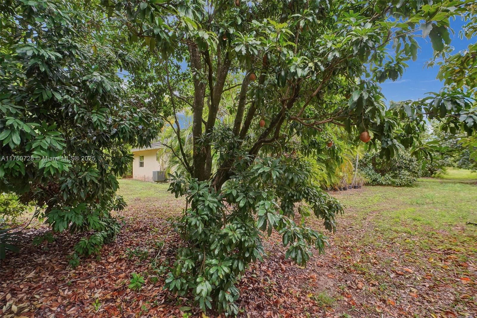 Real estate property located at 23451 162nd Ave, Miami-dade, X, Homestead, FL