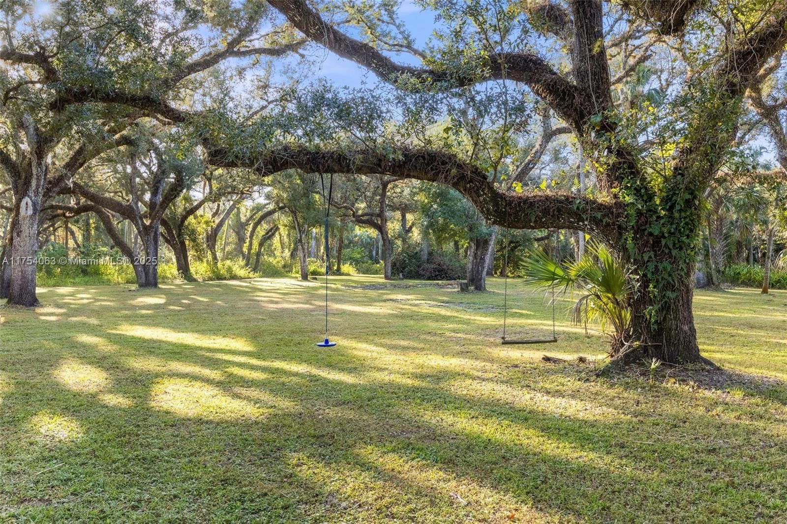 Real estate property located at 14501 HAL CT, Lee, Buckingham, Fort Myers, FL