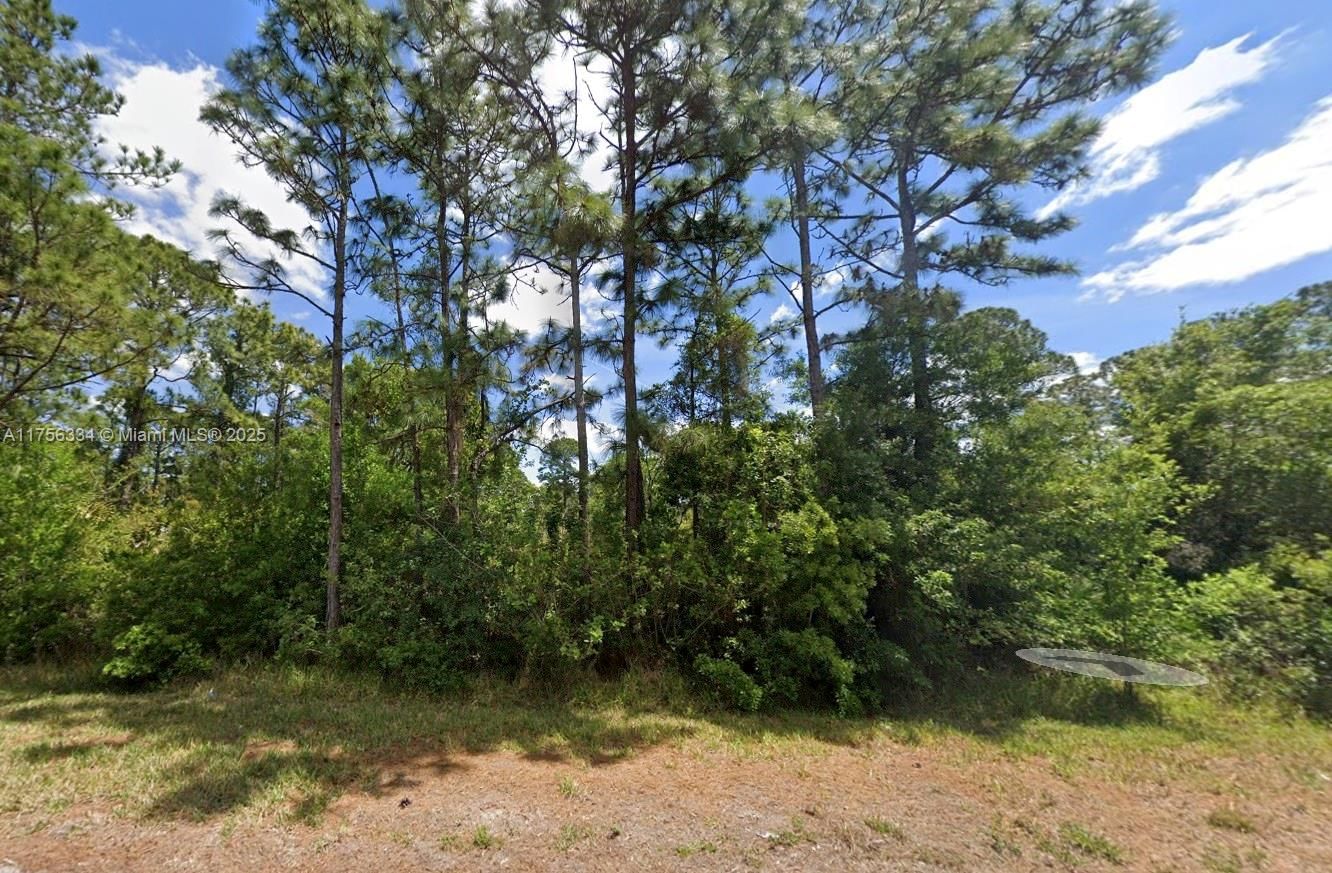 Real estate property located at 354 Wildcat St, Highlands, Placid Lakes Sec 19, Lake Placid, FL