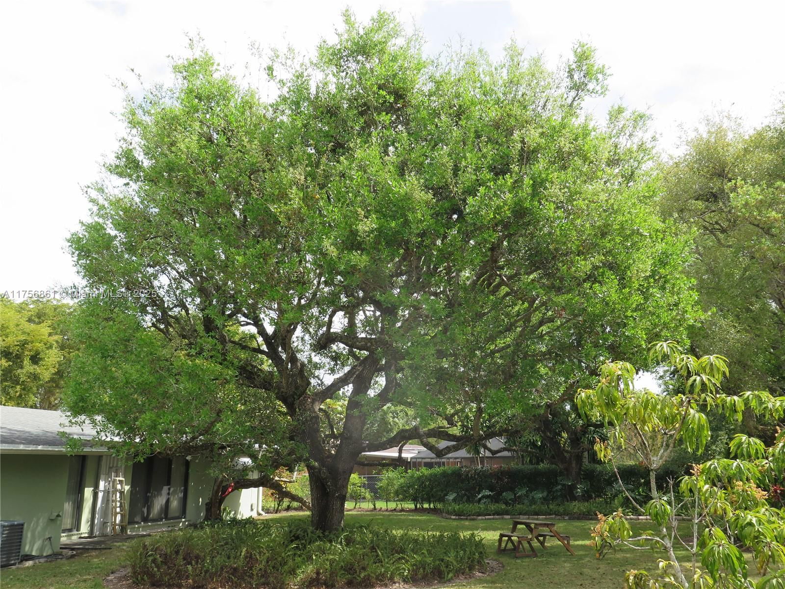 Real estate property located at 8240 96th St, Miami-dade, Pine Estates, Miami, FL
