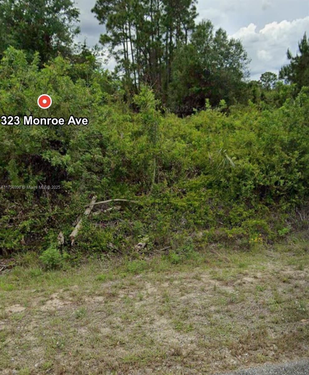 Real estate property located at 323 Monroe Ave, Lee, Lehigh Acres Unit 12 Repl, Lehigh Acres, FL