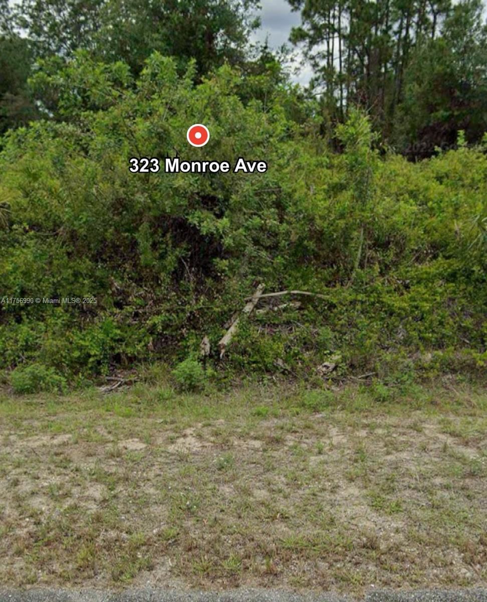 Real estate property located at 323 Monroe Ave, Lee, Lehigh Acres Unit 12 Repl, Lehigh Acres, FL