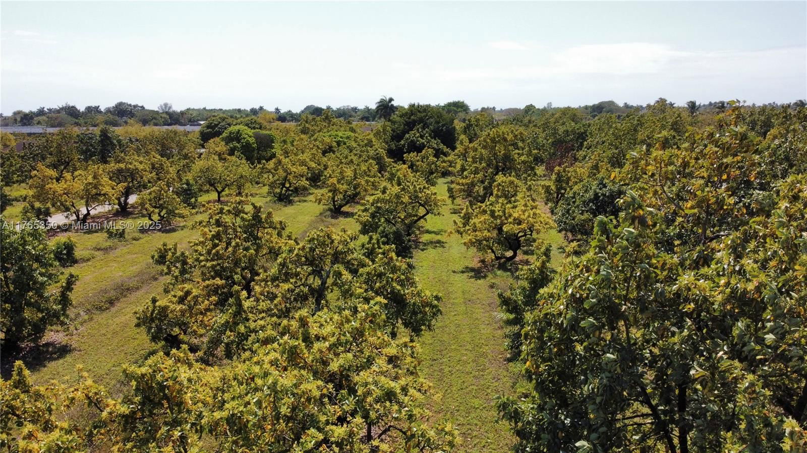 Real estate property located at 18300 248th St, Miami-dade, Redland, Homestead, FL