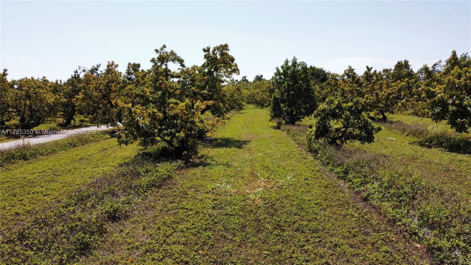 Real estate property located at 18300 248th St, Miami-dade, Redland, Homestead, FL