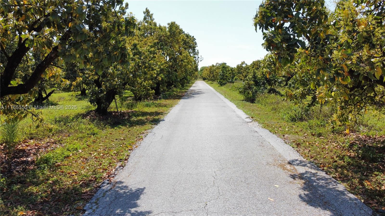 Real estate property located at 18300 248th St, Miami-dade, Redland, Homestead, FL