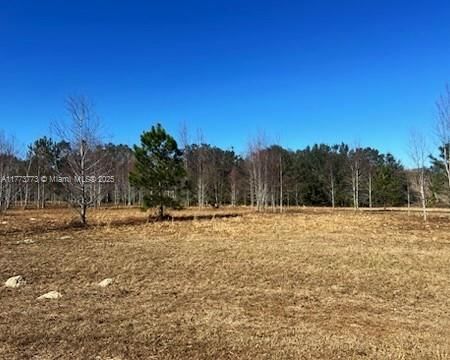 Real estate property located at 8 Baron Glen, Other, Meadows, Other City - In The State Of Florida, FL