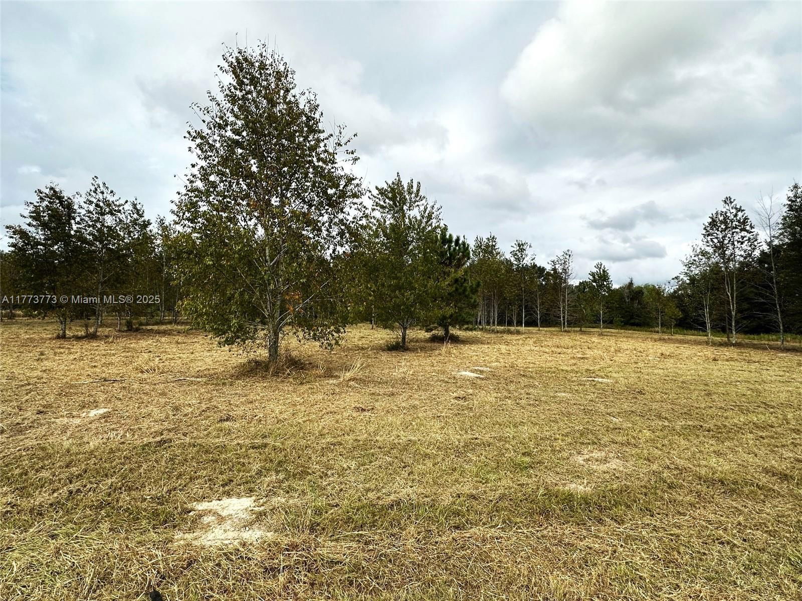 Real estate property located at 8 Baron Glen, Other, Meadows, Other City - In The State Of Florida, FL