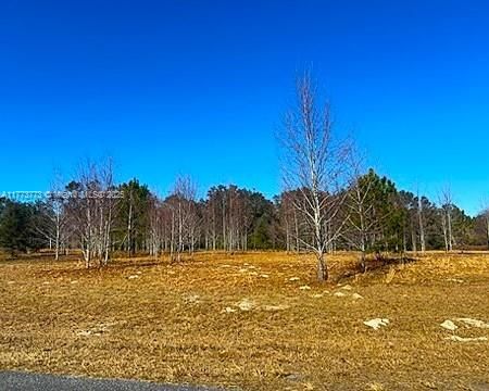 Real estate property located at 8 Baron Glen, Other, Meadows, Other City - In The State Of Florida, FL