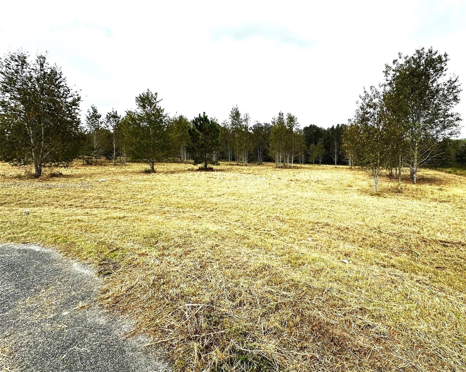 Real estate property located at 8 Baron Glen, Other, Meadows, Other City - In The State Of Florida, FL