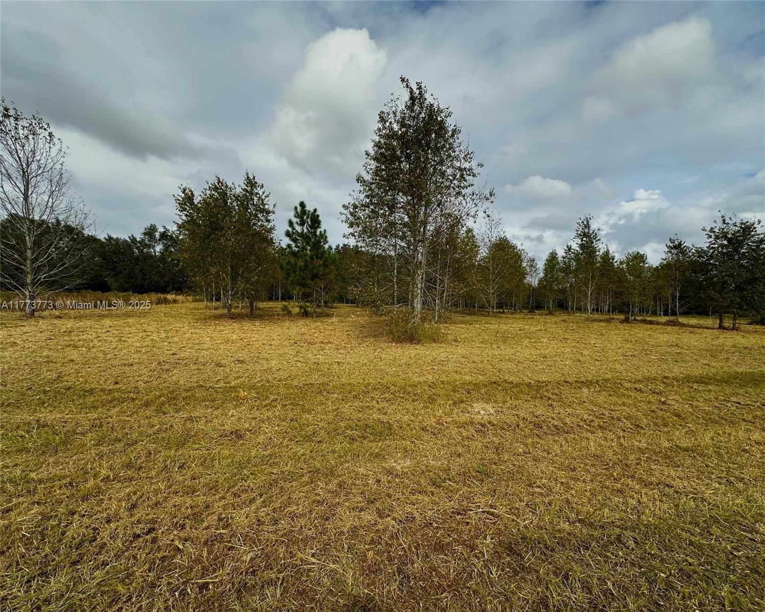 Real estate property located at 8 Baron Glen, Other, Meadows, Other City - In The State Of Florida, FL