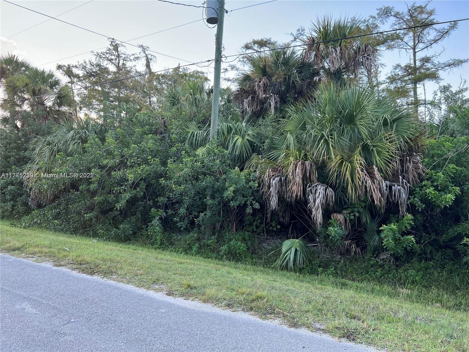 Real estate property located at 2521 20th Avenue, Collier, Golden Gate Est Unit 70, Naples, FL