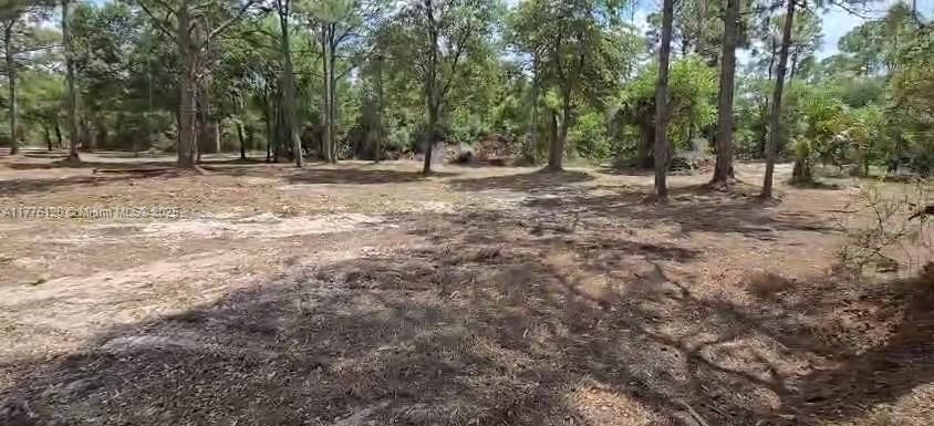 Real estate property located at 270 Lindero, Hendry, Montura Ranch Estates, Clewiston, FL