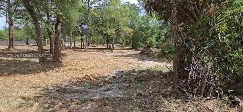 Real estate property located at 270 Lindero, Hendry, Montura Ranch Estates, Clewiston, FL