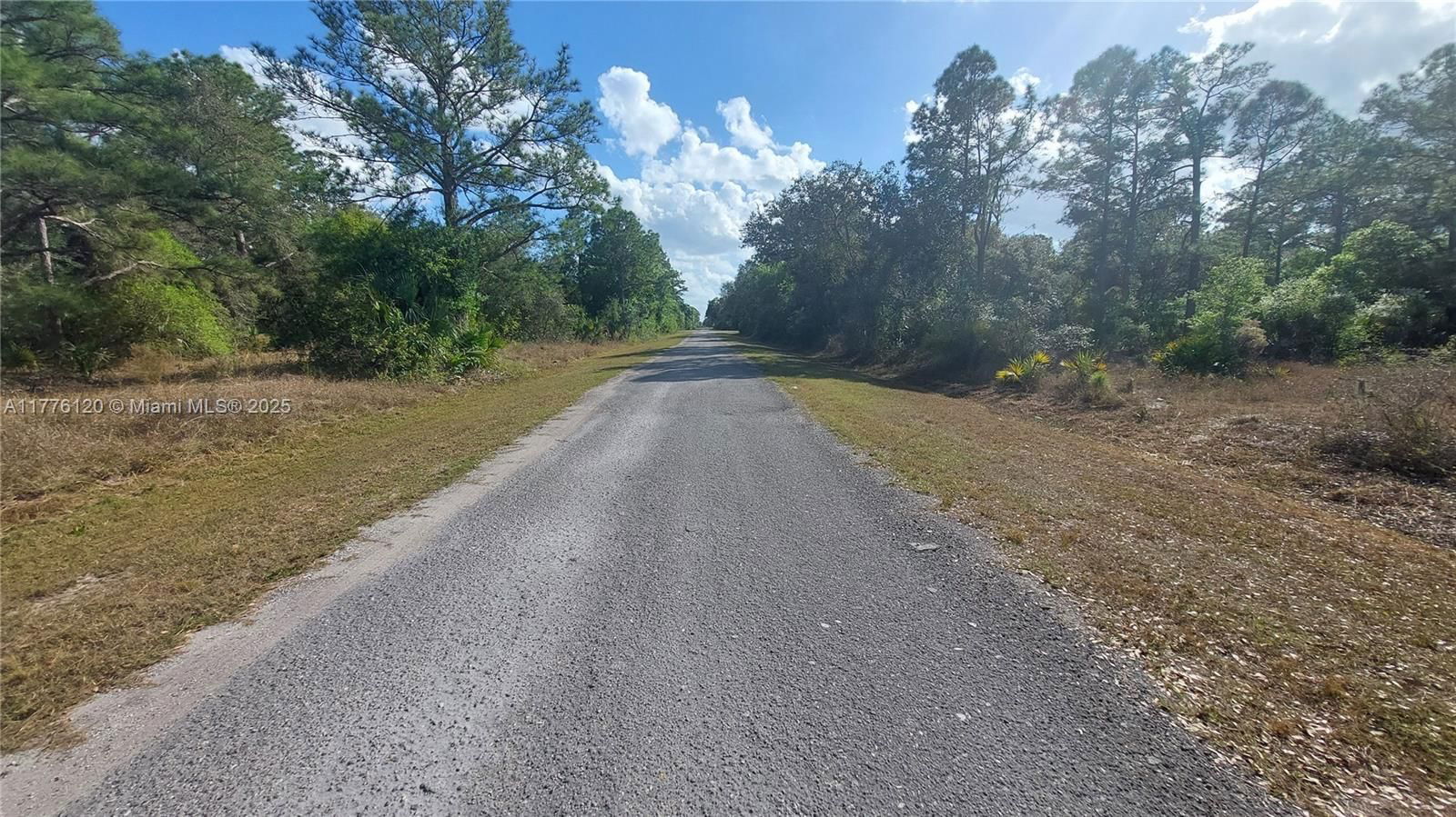 Real estate property located at 270 Lindero, Hendry, Montura Ranch Estates, Clewiston, FL