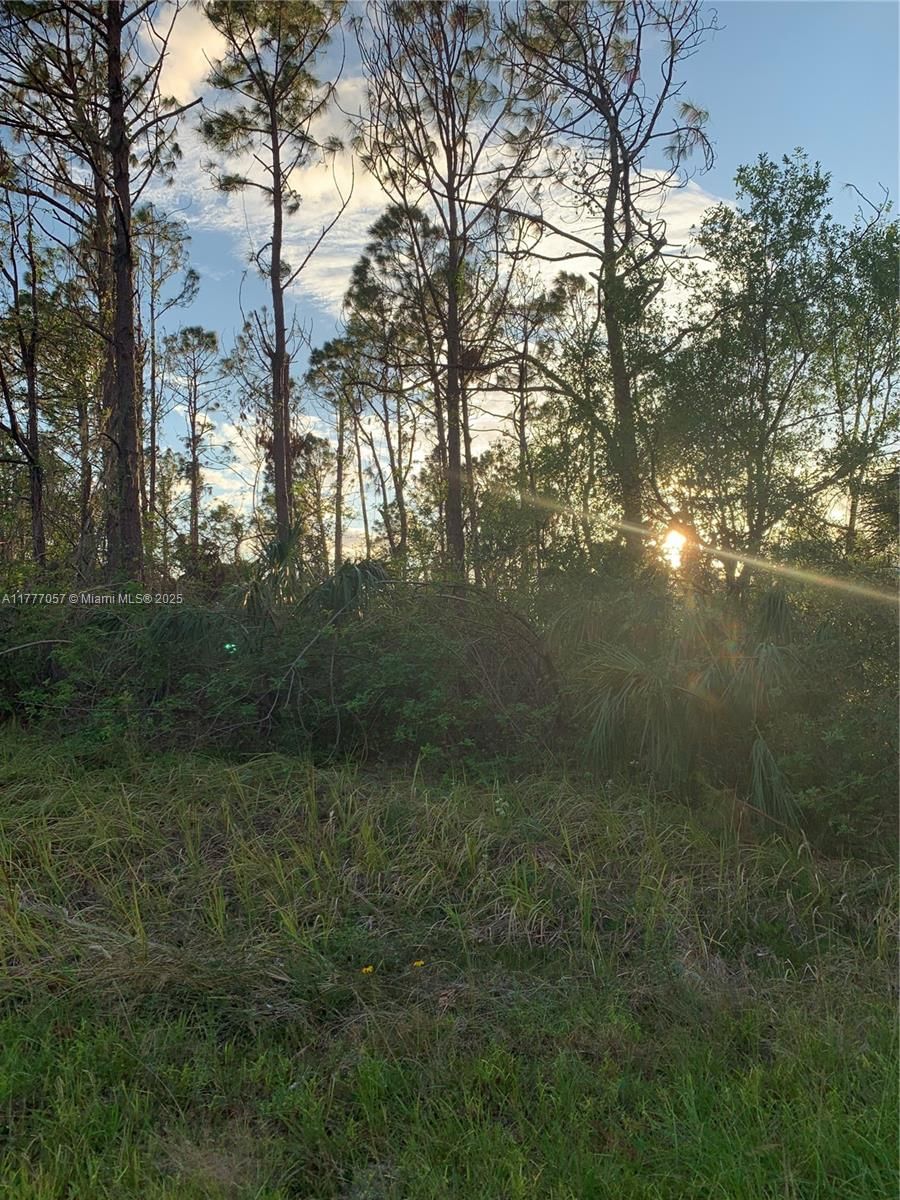 Real estate property located at 0 Hamerton, Sarasota, Port Charlotte Sub 45, North Port, FL