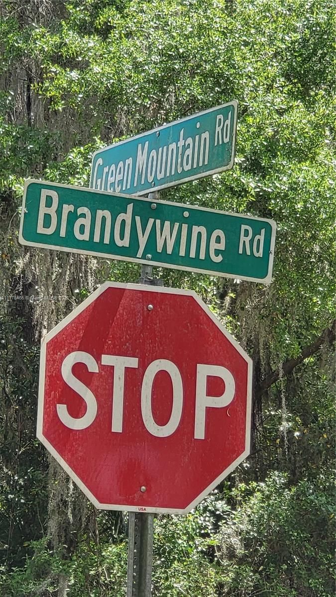 Real estate property located at 2850 Green Mountain Rd., Volusia, Brandywine, Deland, FL