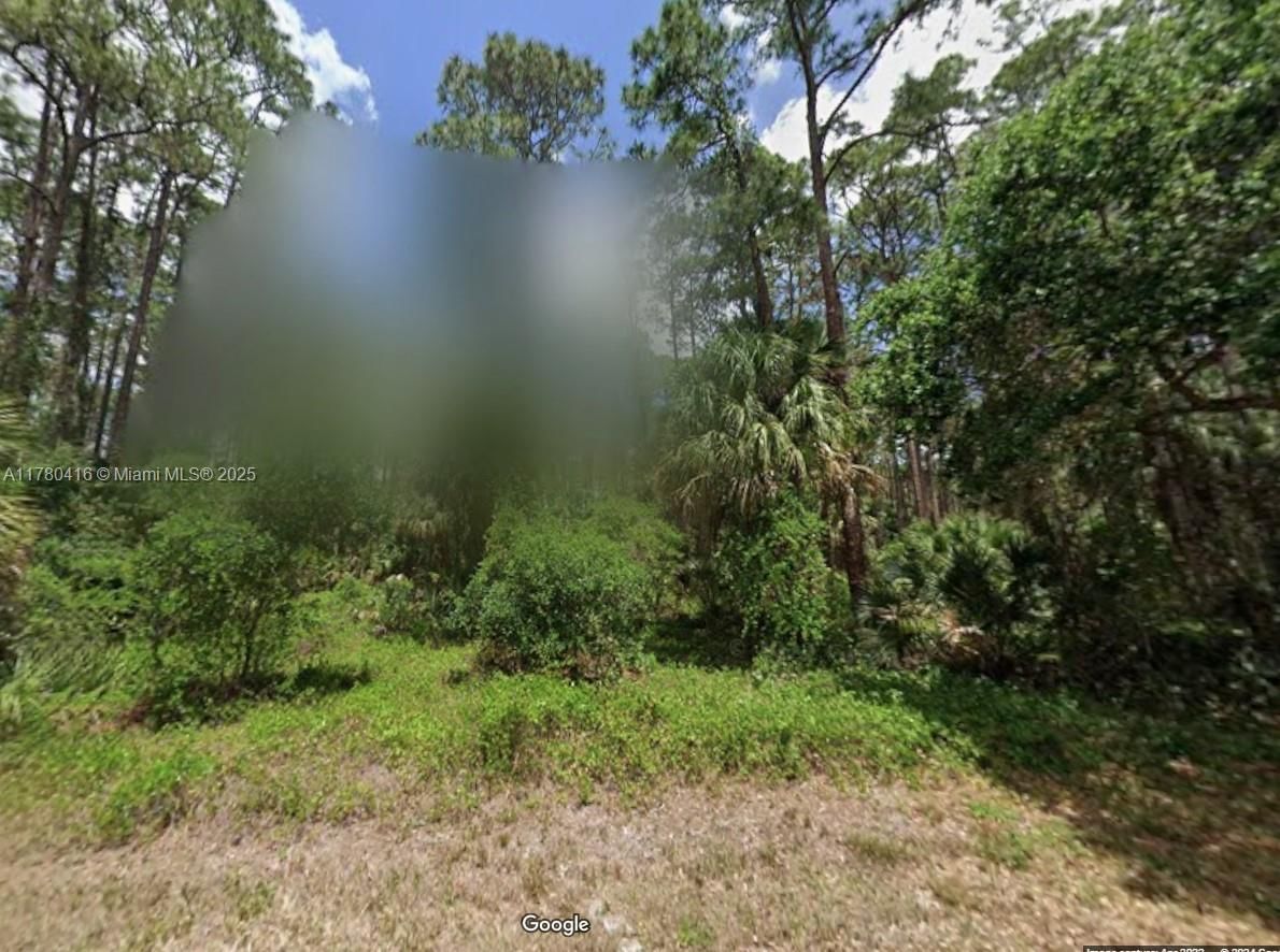 Real estate property located at 17344 Orion Ave, Other, Port Charlotte Section 87, Other City - In The State Of Florida, FL