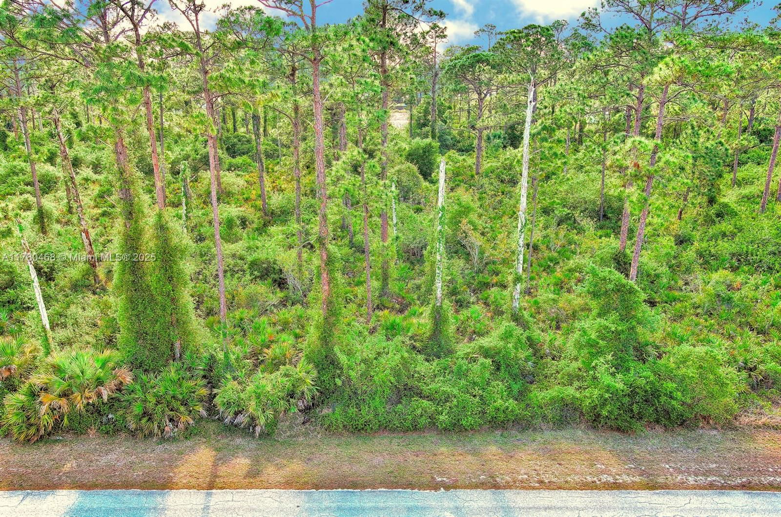 Real estate property located at 2019 COLUMBUS AVE, Lee, Lehigh Acres, Lehigh Acres, FL