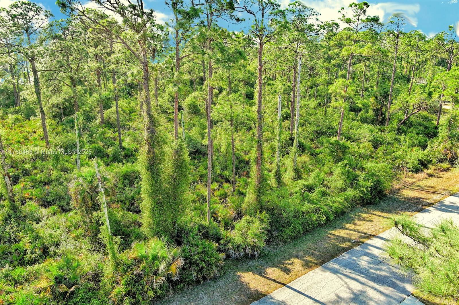 Real estate property located at 2019 COLUMBUS AVE, Lee, Lehigh Acres, Lehigh Acres, FL