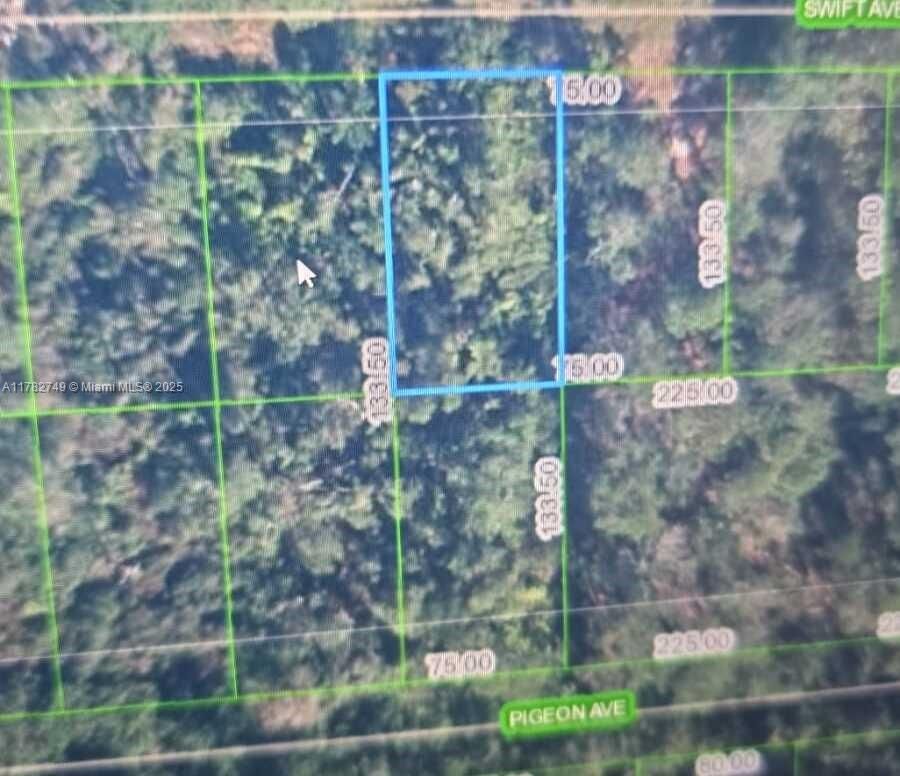 Real estate property located at 234 Swift Ave, Highlands, Sebring Hills So, Sebring, FL
