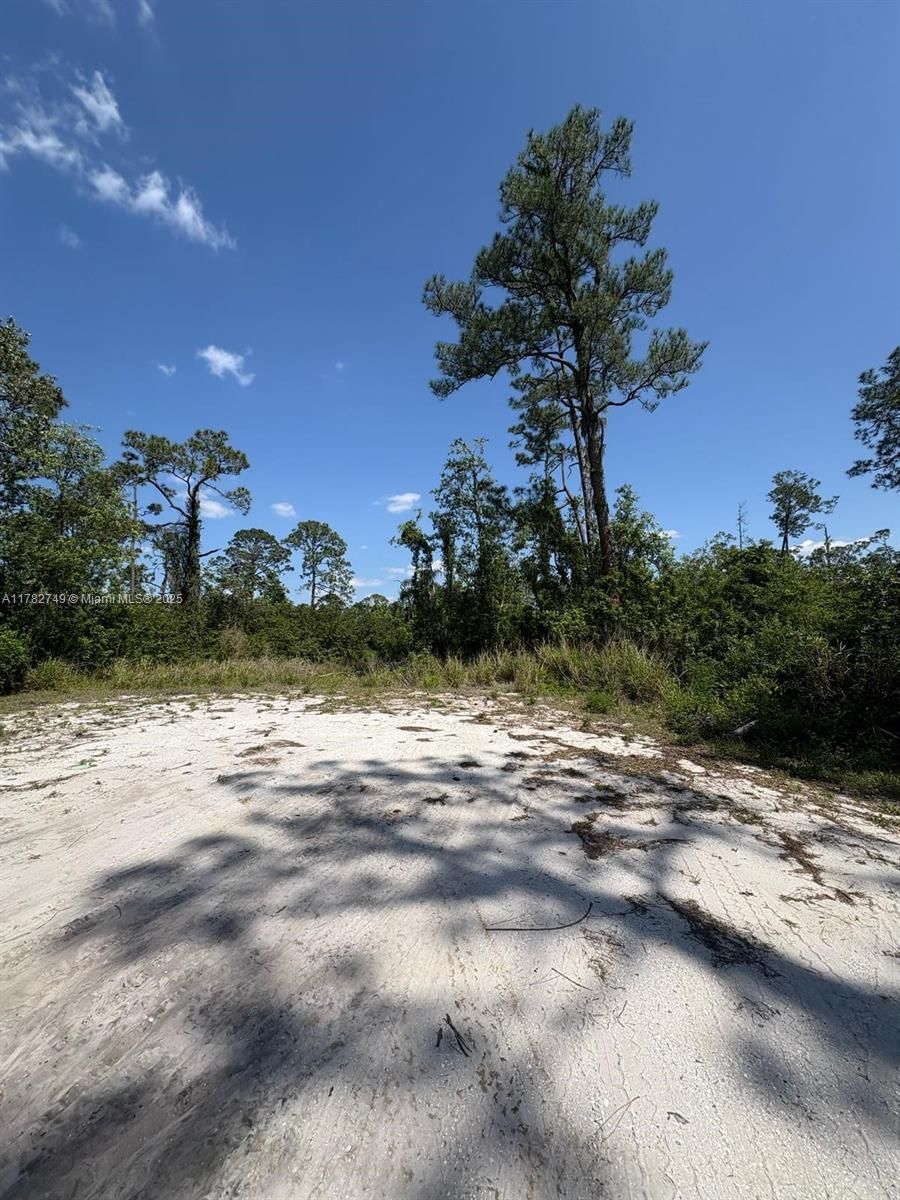 Real estate property located at 234 Swift Ave, Highlands, Sebring Hills So, Sebring, FL