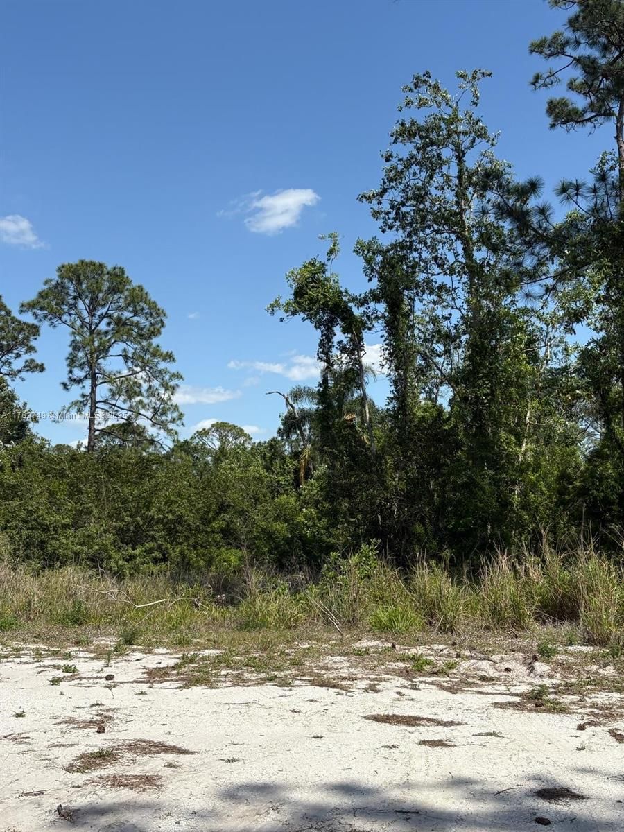 Real estate property located at 234 Swift Ave, Highlands, Sebring Hills So, Sebring, FL