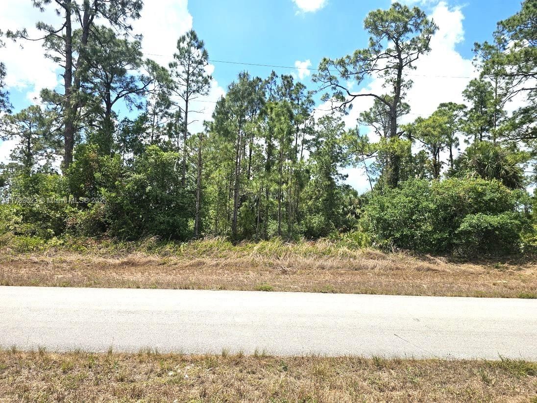 Real estate property located at 517 Hines AVE, Lee, Lehigh Acres, Lehigh Acres, FL