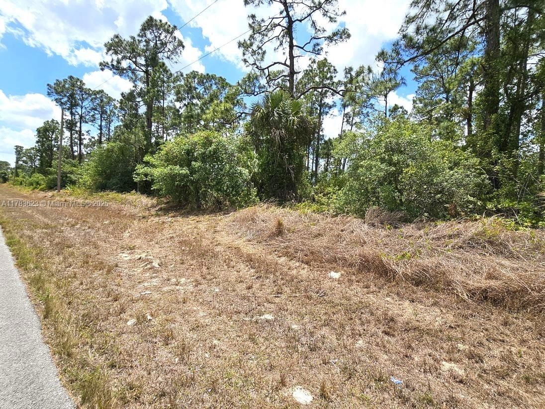 Real estate property located at 517 Hines AVE, Lee, Lehigh Acres, Lehigh Acres, FL