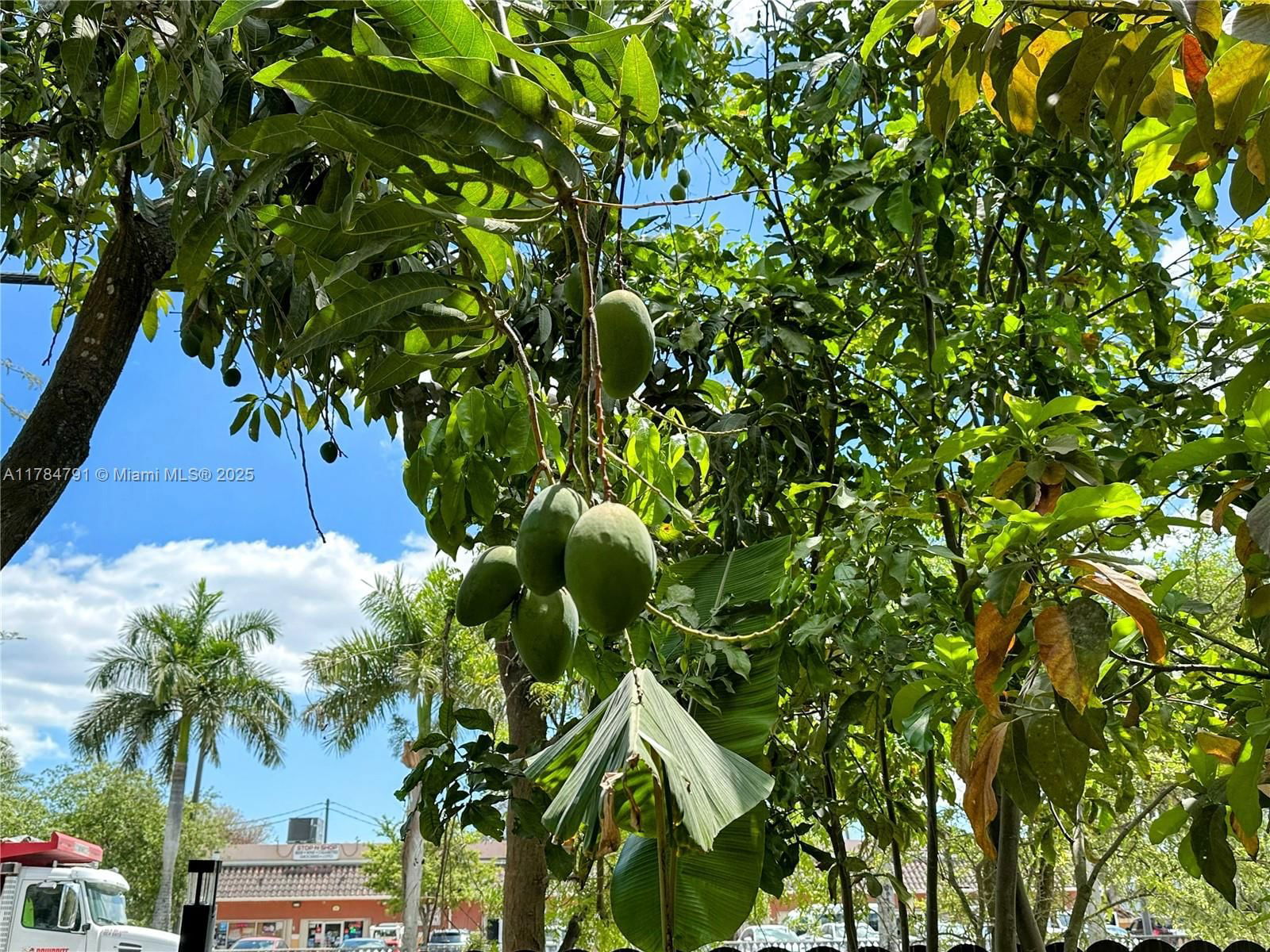 Real estate property located at 31600 187th Ave, Miami-dade, Replat Of Portion Of Flor, Homestead, FL