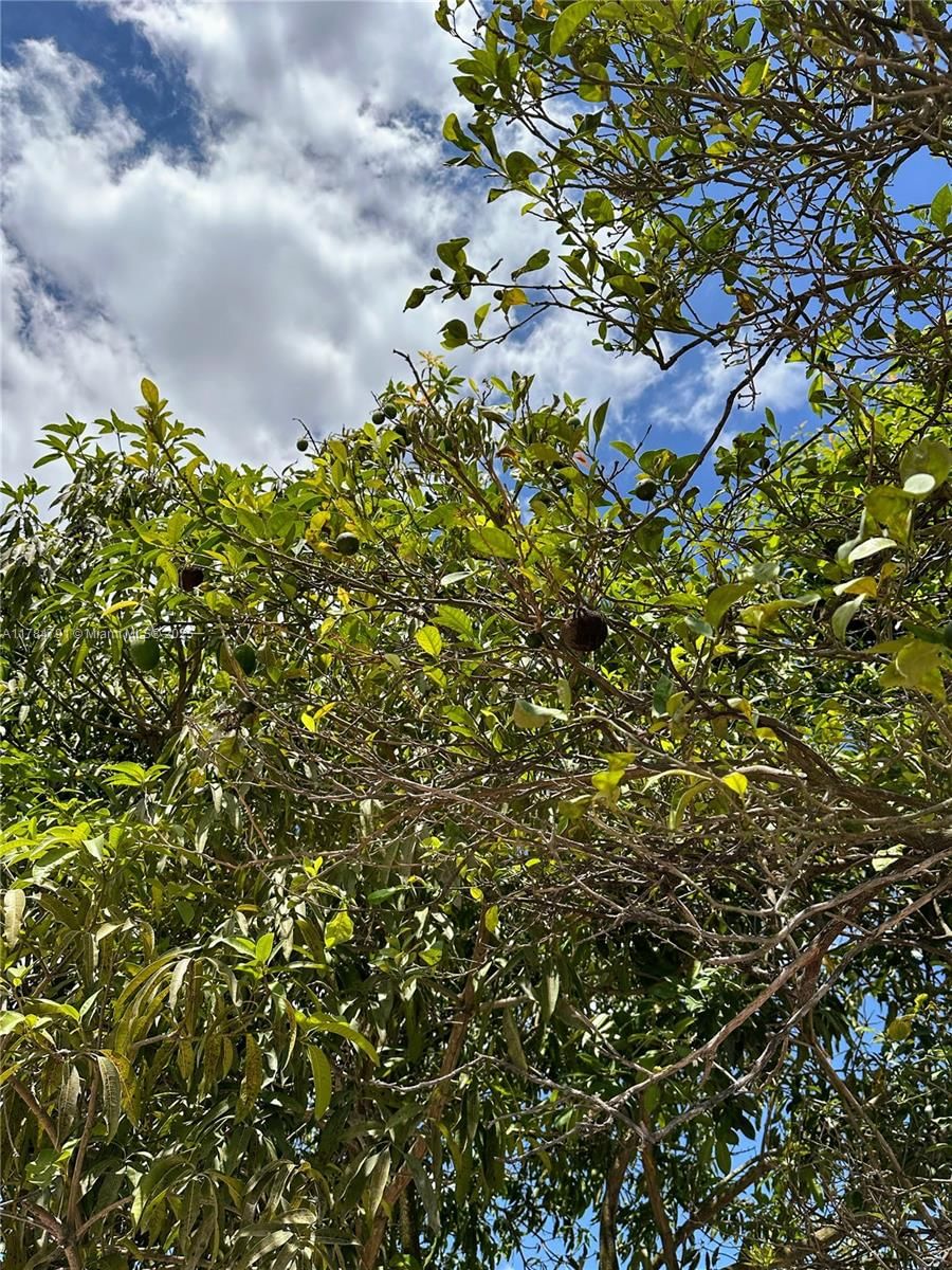 Real estate property located at 31600 187th Ave, Miami-dade, Replat Of Portion Of Flor, Homestead, FL