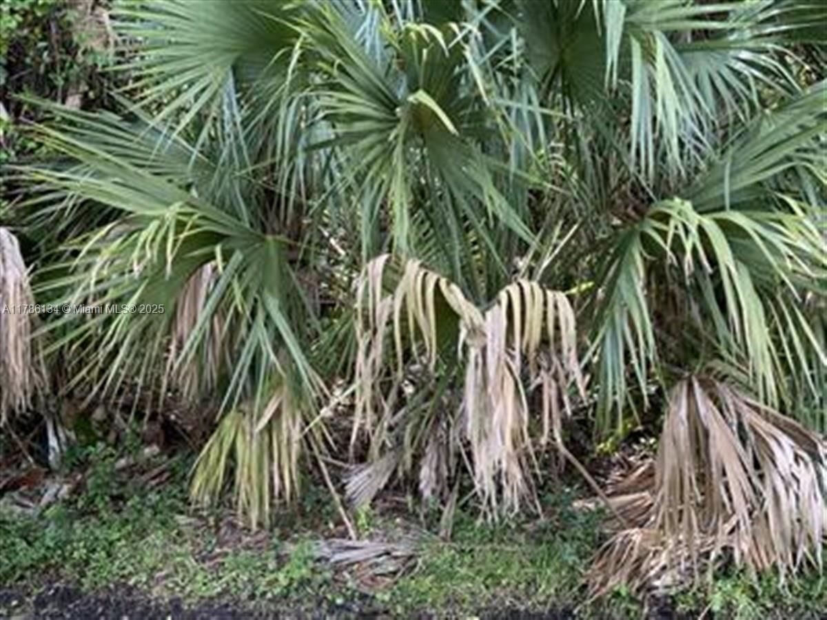 Real estate property located at 1019 Hamrock Ave, St Lucie, Port St Lucie Section 19, Port St. Lucie, FL