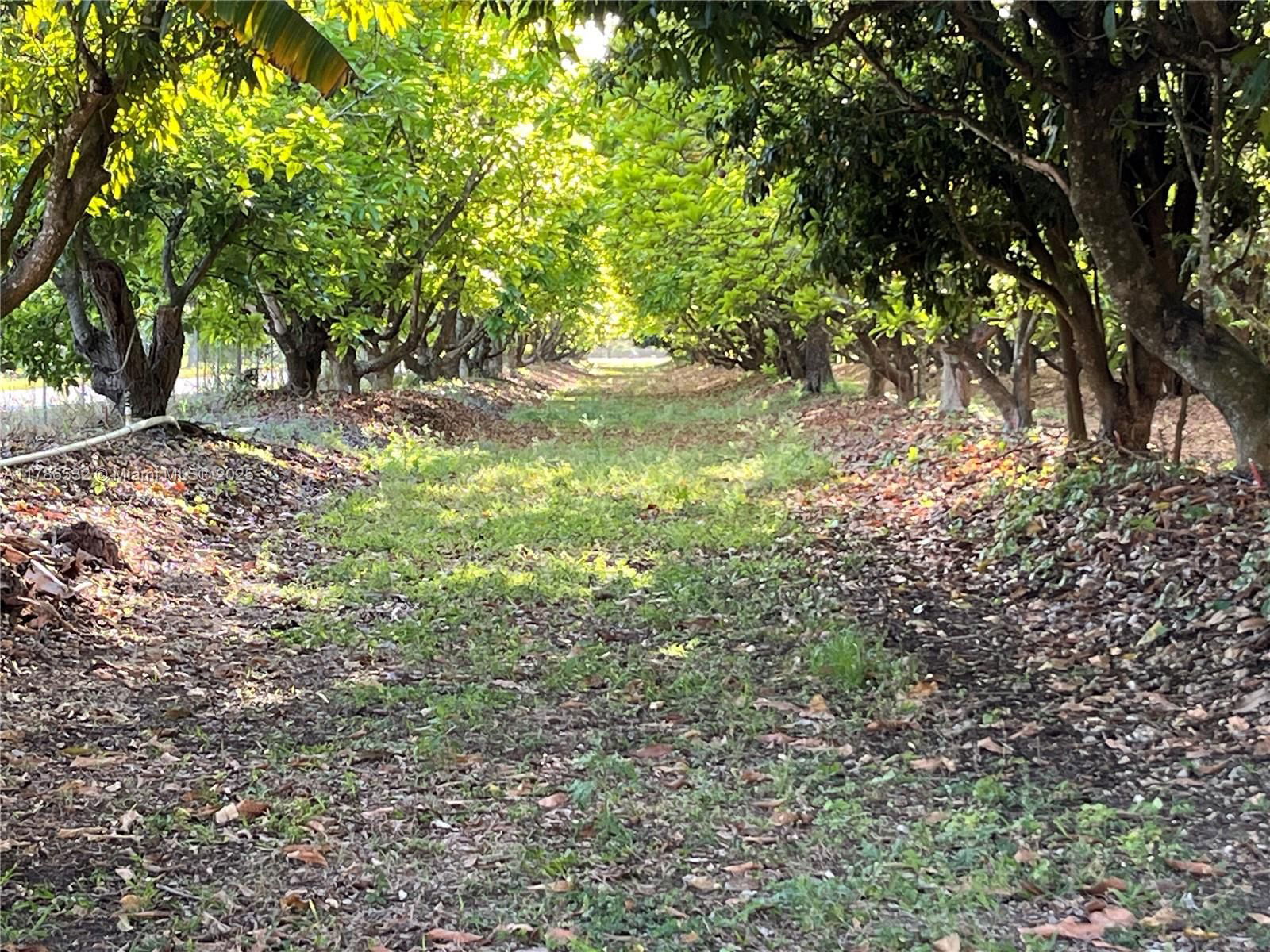 Real estate property located at 19700 188th St, Miami-dade, Redland Agri 11.71 Acres, Miami, FL